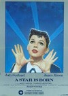 A Star Is Born (1954)2.jpg